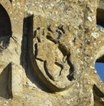 Tame Crest